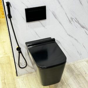Modern Black Wall Hung Toilet with Concealed Flush System